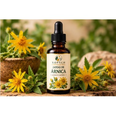 Gotas de Árnica XOPACH 60 ml — imagen editorial