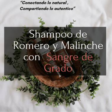 Shampoo de Romero y Malinche con Sangre de Grado