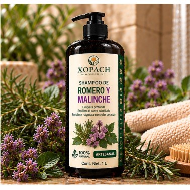 Shampoo Romero y Malinche XOPACH 1 L — imagen editorial